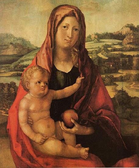 Albrecht Durer Maria mit Kind vor einer Landschaft